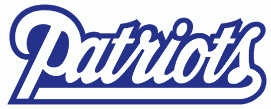 New England Patriots 1993-1999 Wordmark Logo t shirts iron on transfers
